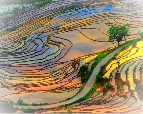 福建梯田