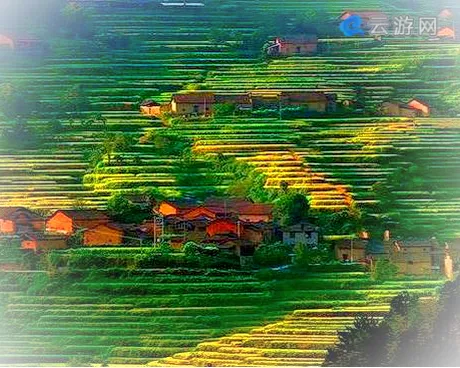 福建梯田