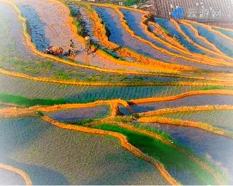 福建梯田