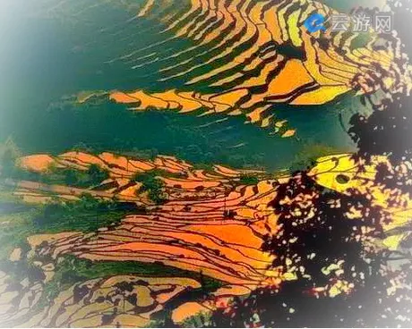 福建梯田