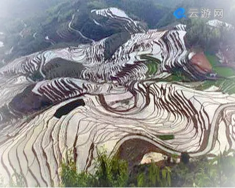 福建梯田