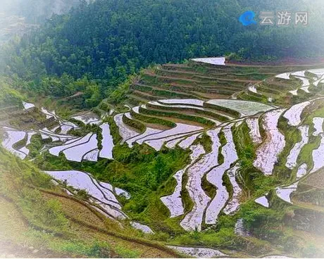 福建梯田