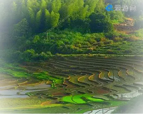 福建梯田