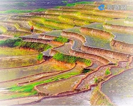 福建梯田