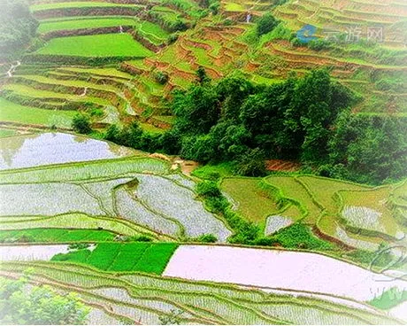 宁化河龙村梯田