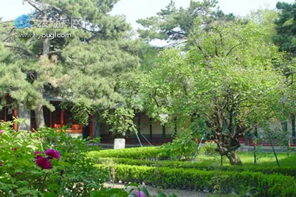 戒台寺牡丹院