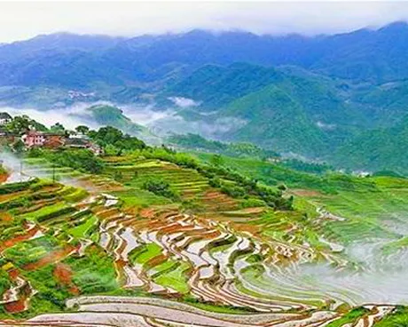 金华塔石高山梯田景区