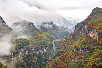 九路寨美景