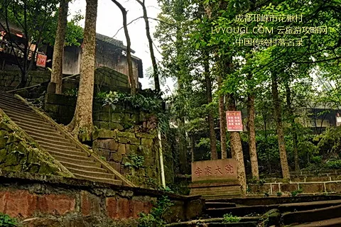 成都邛崃市花楸村