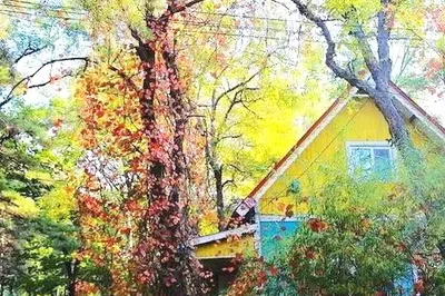 镜泊湖俄式小屋的风情