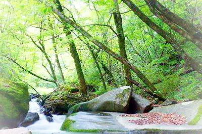 安康香溪洞景区