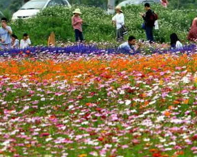 佛山丹灶翰林湖都市型生态农业园