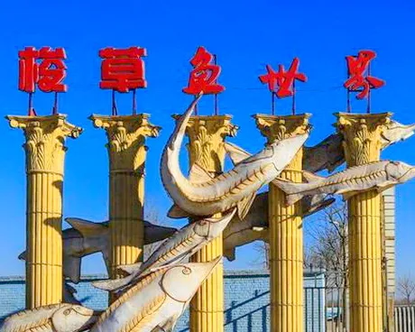 怀柔梭草鱼世界