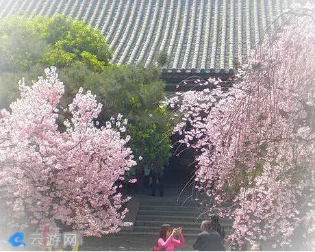 青龙寺