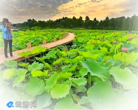 天德湖