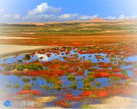 小泊湖
