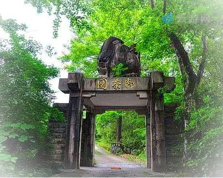 武夷御茶园