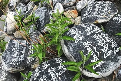 林芝米林丹娘石碑
