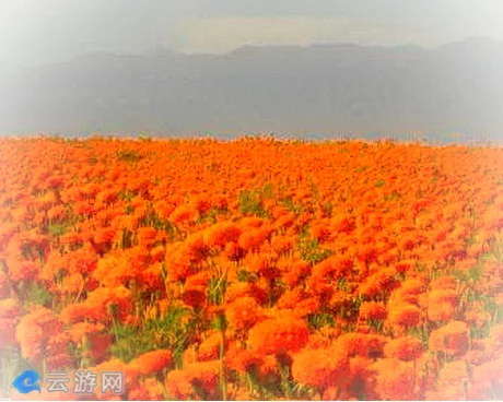 新疆农五师八十四团旅游景点