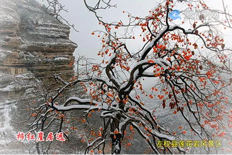 左权莲花岩生态庄园风景区